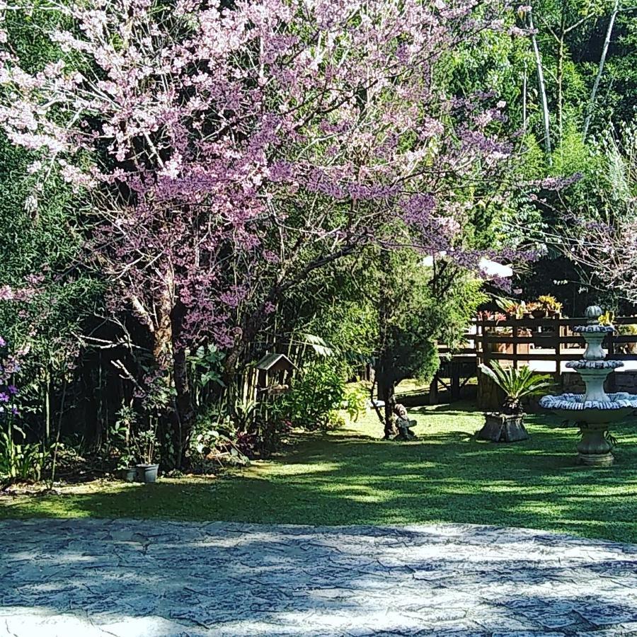 Havila Arara Azul Nova Friburgo Zewnętrze zdjęcie
