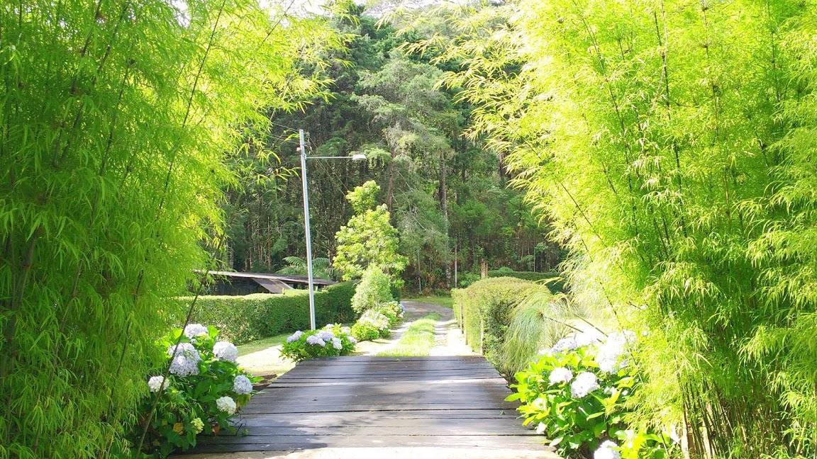 Havila Arara Azul Nova Friburgo Zewnętrze zdjęcie